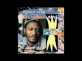 Horace Andy -  What A Day