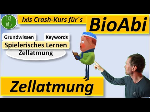 Zellatmung - Keywords und Grundlagen spielerisch lernen