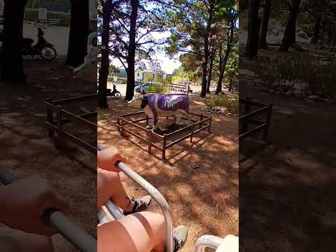 un hermoso paseo por 📍tandil #buenosaires #argentina #travel #travesia #rutasypaisajes