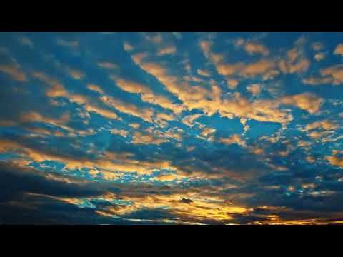 #sky collar 👌✨️✨️