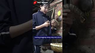 Download lagu Makan udang raksasa? part1 #shorts #istriidaman #memasak #makan mp3