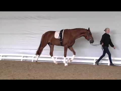 08 56 Despo v  Destano   Fürstentraum