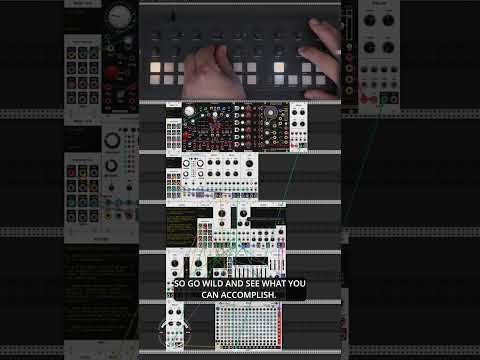 The Modular Minute 204: T-1 and VCV