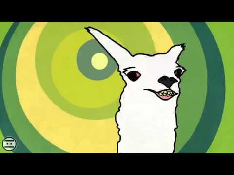 ola k ase por #NEGAS