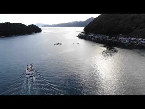 夕陽に輝く伊根湾で観光船と舟屋をドローン で空撮。Ine Funaya