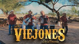 Los Viejones de Linares El Corrido De Arturo (Video Oficial)