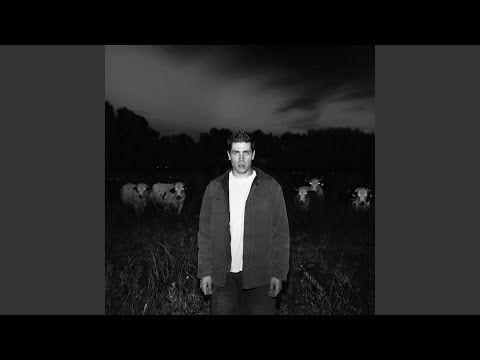 The Cattle - Zach Palmer