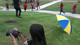 Janis's Proposal (Joyce Camera)