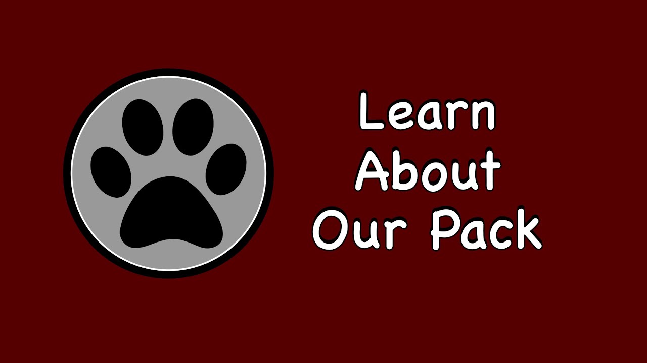 About Morenci Area Schools - Great Start Readiness Program (GSRP)