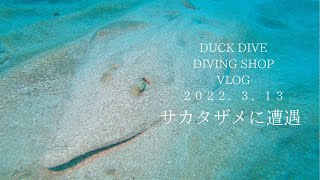 DUCK DIVE