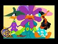 Looney Tunes Duck Amuck Classic Cartoon WB Kids