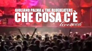 Giuliano Palma & the Bluebeaters - Che cosa c'è (Rototom 2006)