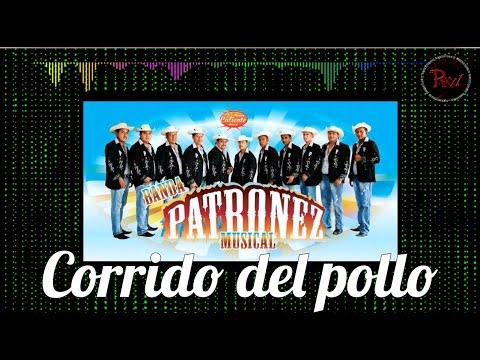 Corrido del pollo - Patronez Musical (Estreno 2017) (Oficial Rw)