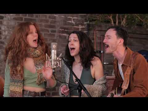 Solid Ground - Buffalo Rose