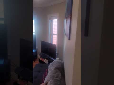116-118 Holland Street - Video 2 of 2