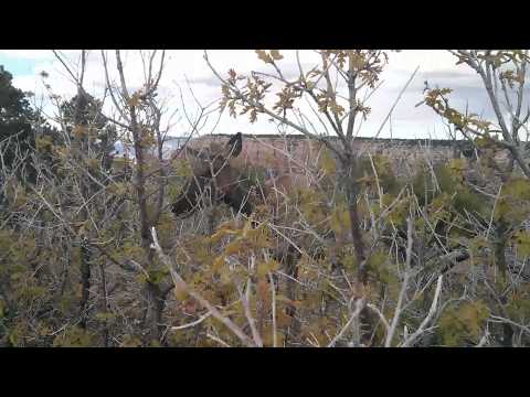 Happy Birthday Nils!