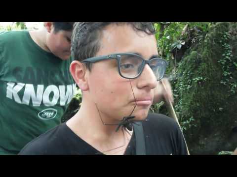 Video 8