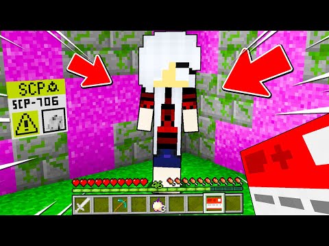 NON BACIARE QUESTA RAGAZZA SCP 706 - Minecraft ITA