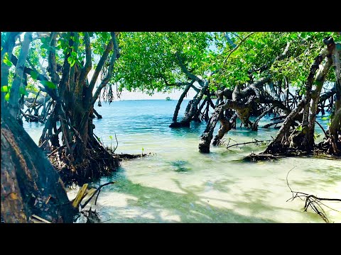 Polita’s Beach, en Playa de Salinas, Puerto Rico