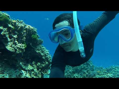 Discover catamaran Indigo53