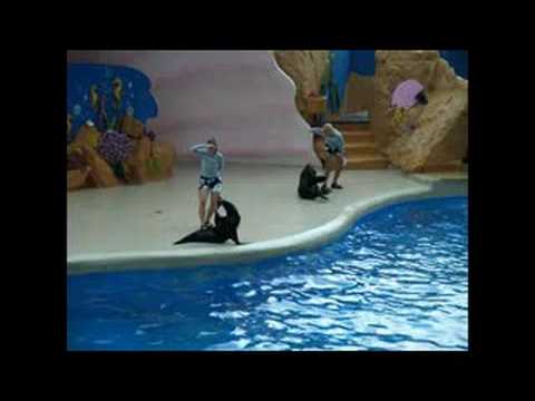 Visit to Miami South Beach and Key West