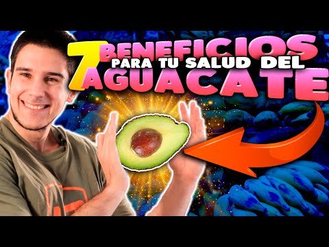 Conoce Los Grandiosos Beneficios De Los Aguacates