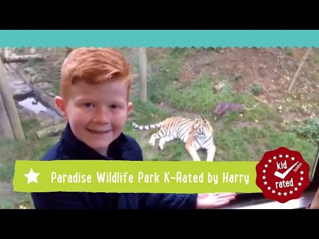 Top 15 Family Days Out For Animal Lovers In The Uk Kidrated Itinerary