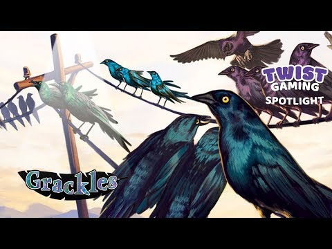 Spotlight: Grackles - First Impression