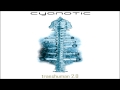 Cyanotic - Frequency (Recycled) - Accidental Protégé Cyanotic - Frequency (Recycled)