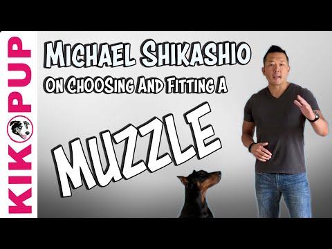 STOP UNWANTED behaviors with BACK UP