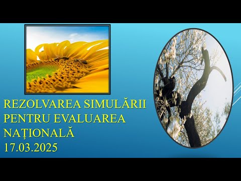 Rezolvarea simulării EN 17 MARTIE video parțial