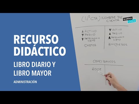 Contabilidad: libro diario y libro mayor