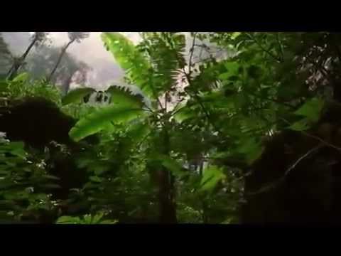 Son Doong Cave National Geographic The Worlds Biggest Cave