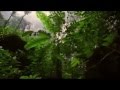 Son Doong Cave National Geographic The Worlds Biggest Cave