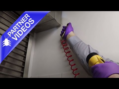  The BASF System III | Tips & Tricks Video 