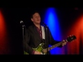 Steve Wynn - Never Ending Rain