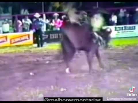 JOSÉ DAMIÃO DA SILVA X SAPUCAÍ - RODEIO DE COLORADO 2000