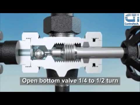 Glass level gage with safety ball check valves