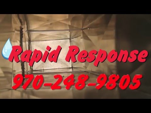 Rapid Response video