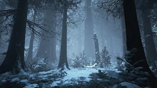 Dark Winter Music &amp; Medieval Fantasy Music