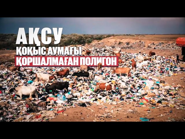 Қоқыс аумағы қоршалмаған полигон