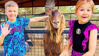 Download lagu Diana dan Roma memberi hewan makanan di Kebun Binatang Emirates mp3 Download lagu Diana dan Roma memberi hewan makanan di Kebun Binatang Emirates mp3