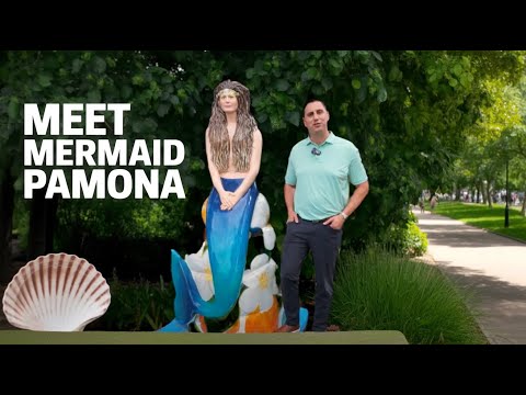 Pamona video thumbnail