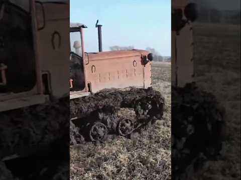 Где трактор ДТ-54?😮Часть 1 #интересное #цилина #техника #сельскоехозяйство #farming #дт54 #трактор