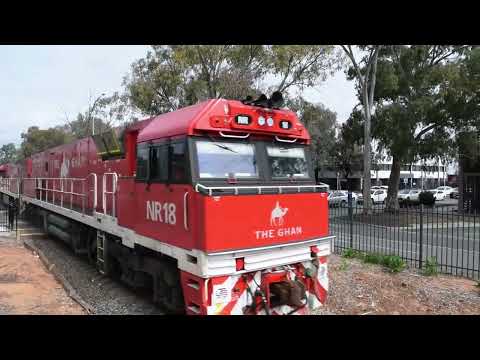 Wow Odgee can't believe he caught The Ghan Again!