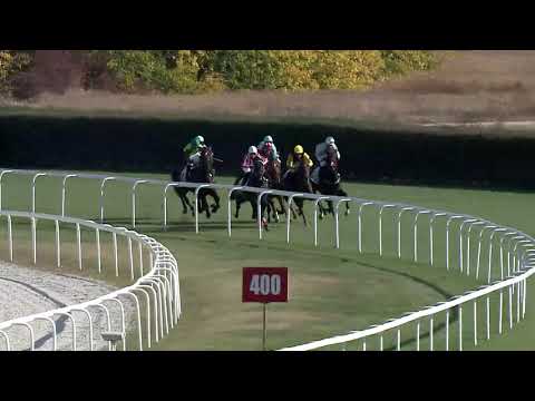 2019.10.20. 01. futam - CAISSOT DÍJ (III.kat.)