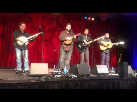 Drifting With the Tide - Rambling Rooks