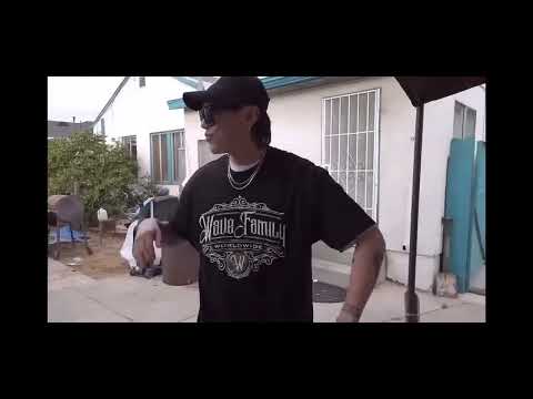 Wave Family - Pop N Taco, Mr Smooth & Poppin Viho from China