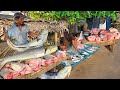 Wow Attractive Best Best Big Fish Market In Sri Lankan Village