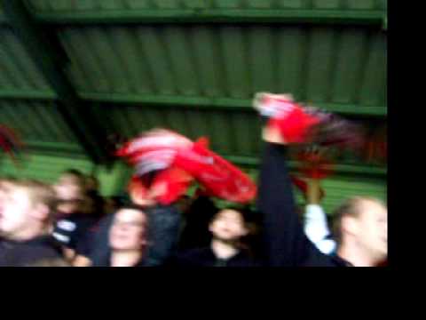 2008/2009 Excelsior - Omniworld sfeer